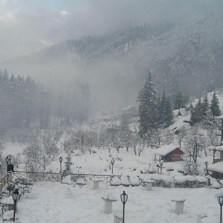 Snow Valley Resorts & Spa Manali Bagian luar foto