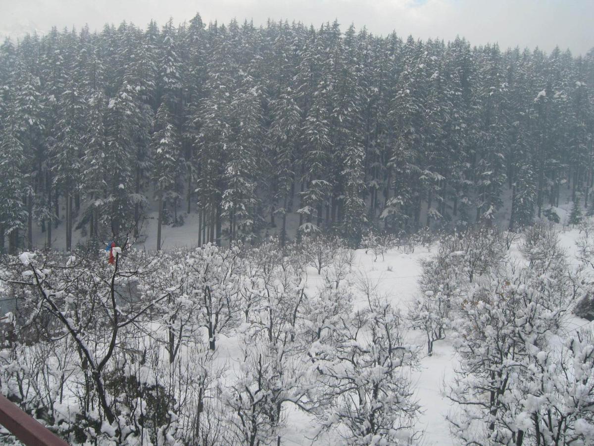 Snow Valley Resorts & Spa Manali Bagian luar foto